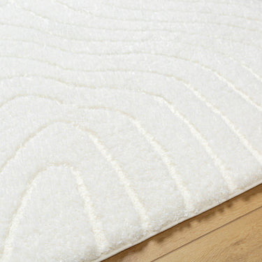Nomadic Modern Modern Graphic Soft Plush Pile Neutral Rug