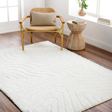 Nomadic Modern Graphic Soft Plush Pile Shaggy Neutral & Ivory Rug - Design NMC2315