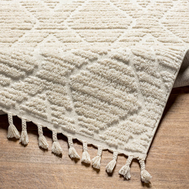 Nora Geometric High Pile Fringe Neutral Rug