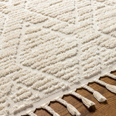 Nora Geometric High Pile Fringe Neutral Rug
