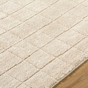 Cascade Our Pnw Home Modern High Pile Runner Beige