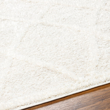 Rodos Modern Soft Plush Pile Beige Rug