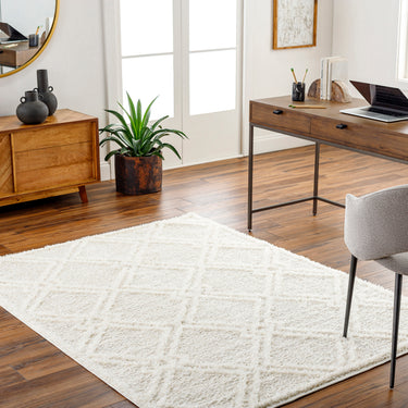 Rodos Modern Soft Plush Pile Shaggy Grey, Beige & White Rug - Design RDO2312