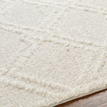 Rodos Modern Soft Plush Pile Green Rug