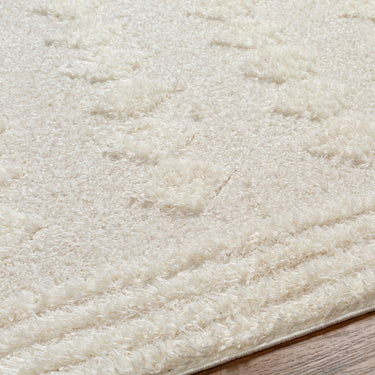 Rodos Modern Soft Plush Pile Beige Rug