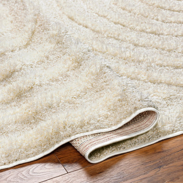 Rodos Modern Soft Plush Pile Shaggy Grey, Beige & White Rug - Design RDO2328