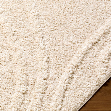 Rodos Modern Soft Plush Pile Shaggy Beige Rug - Design RDO2354
