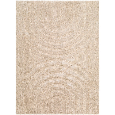 Rodos Modern Soft Plush Pile Shaggy Beige Rug - Design RDO2358 - Large Plus 160x213 cm (5'3'' x 7')