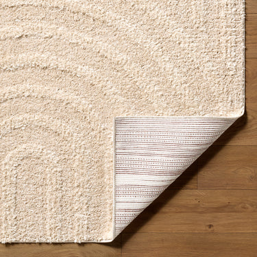 Rodos Modern Soft Plush Pile Shaggy Beige Rug - Design RDO2358