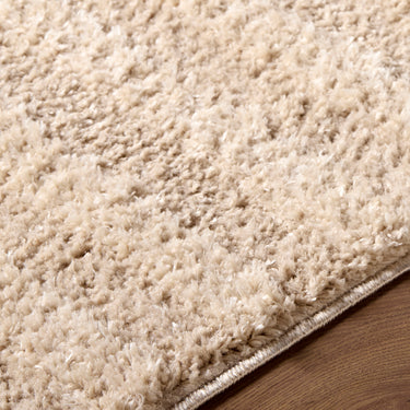 Rodos Modern Soft Plush Pile Shaggy Beige Rug - Design RDO2358