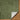 Rodos Modern Soft Plush Pile Shaggy Green Rug - Design RDO2360