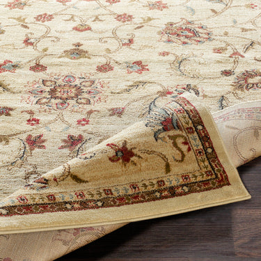 Riley Vintage Traditional Boho Neutral Rug