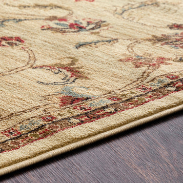 Riley Vintage Traditional Boho Neutral Rug