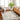 San Francisco Abstract Marble Skandi Modern Green, Ivory & Tan Rug