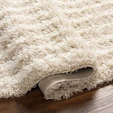 Urban Shag Modern Soft Plush Pile Beige Rug