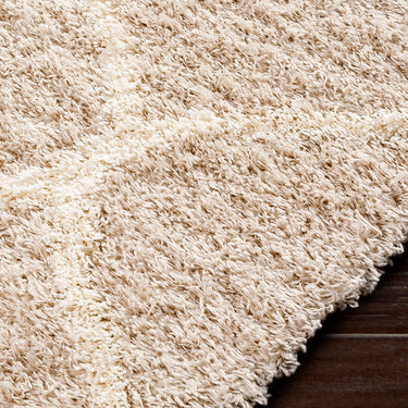 Urban Shaggy Modern Beige, Ivory & Cream Rug - Design USG2320