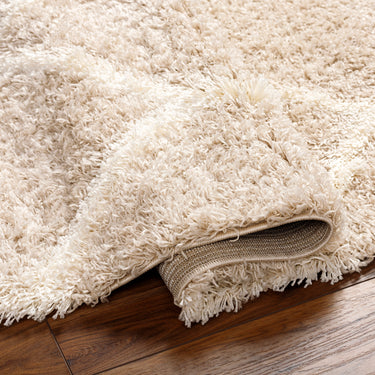 Urban Shaggy Modern Beige, Ivory & Cream Rug - Design USG2320