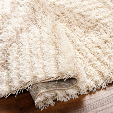 Urban Shag Modern Soft Plush Pile Beige Rug