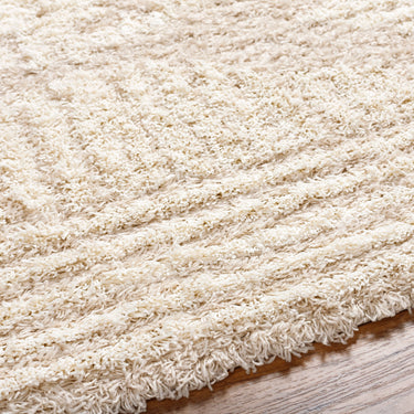 Urban Shag Modern Soft Plush Pile Beige Rug